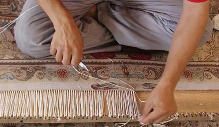 ریشه زنی